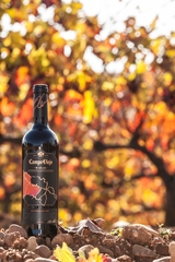 Campo Viejo Vino España Winemaker's Art 750 ml botella