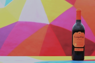 Campo Viejo Wine Spain Reserva 750ml Bottle